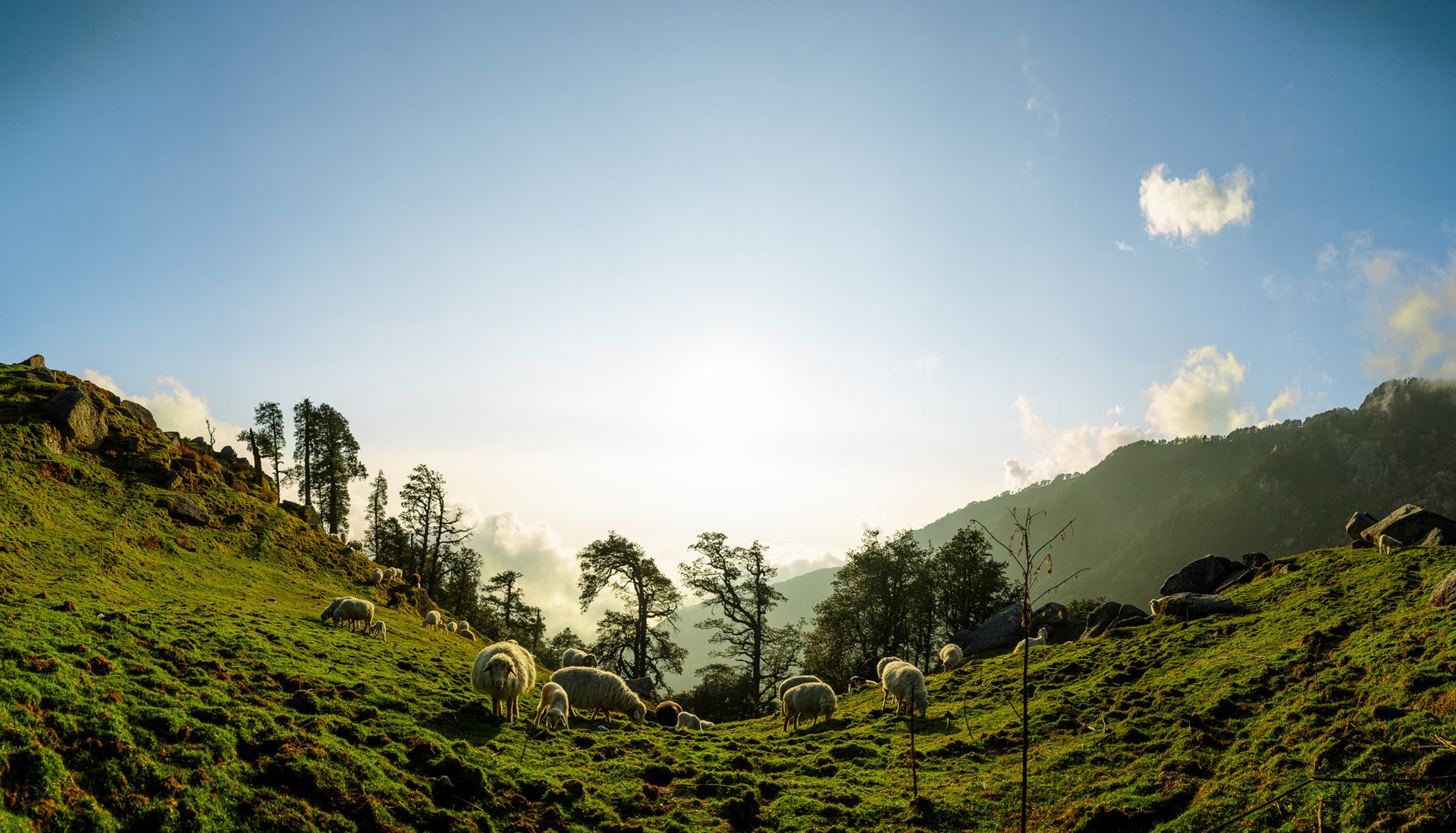 Dharamshala Panorama